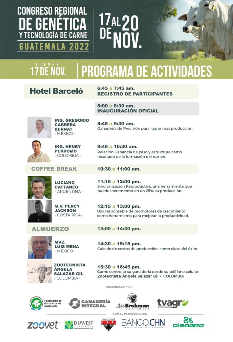 Programa 1