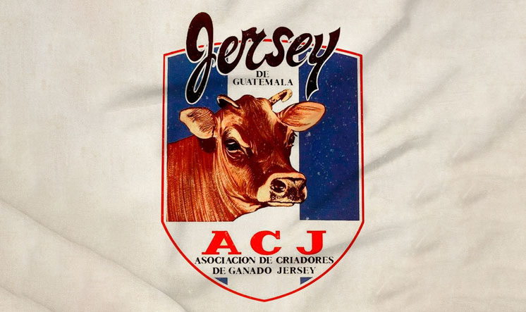 01 fegaguate ganadojersey