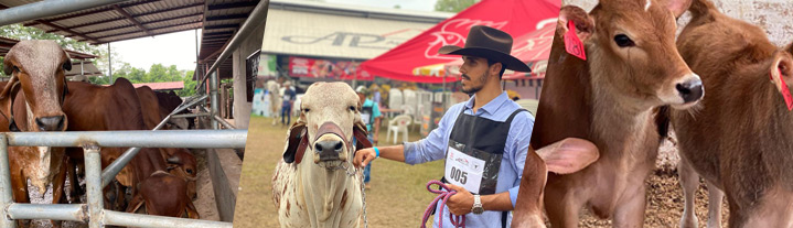 fegaguate socios ab1